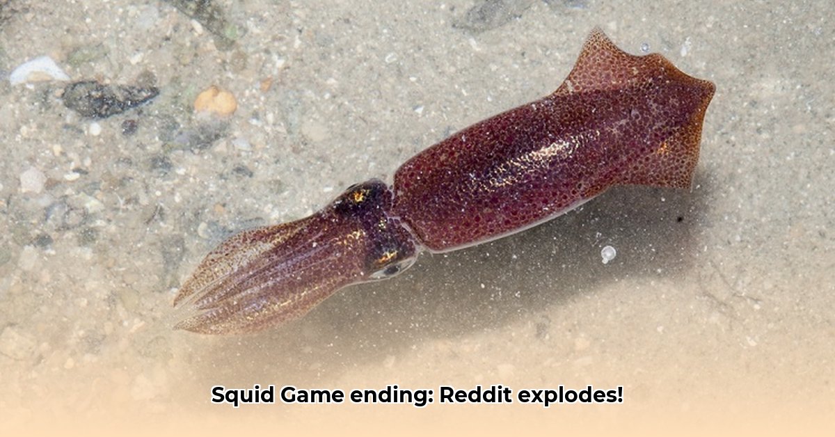 squid-game-ending-reddit